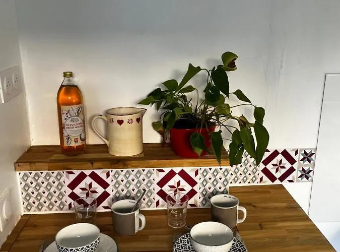 Ravissante Avec Jacuzzi Gaillac